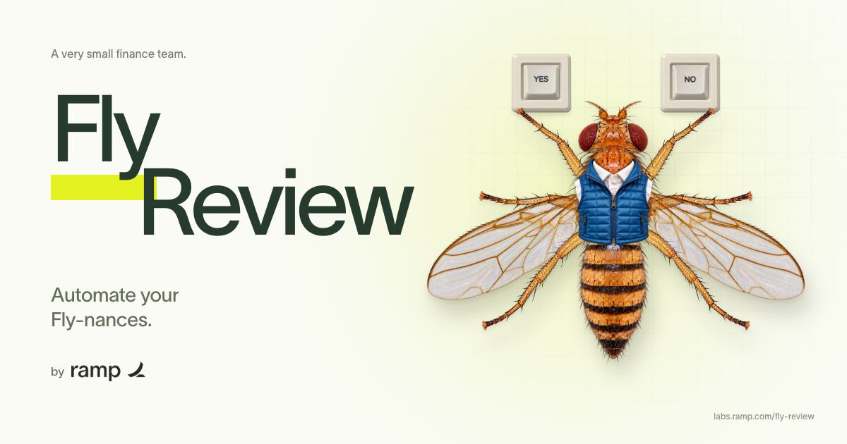 Fly Review by Ramp Labs — Give it a fly 🪰